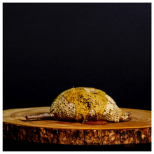 Load image into Gallery viewer, YEMENI MOUNTAIN BEE RAW HONEYCOMB ON STICK